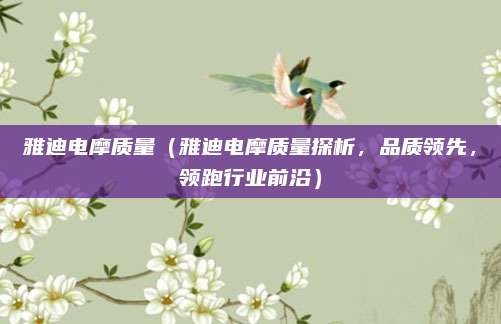 雅迪电摩质量(雅迪电摩质量探析,品质领先,领跑行业前沿)