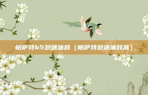 帕萨特b5怠速油耗(帕萨特怠速油耗高)