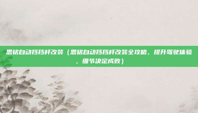 思铭自动挡挡杆改装(思铭自动挡挡杆改装全攻略,提升驾驶体验,细节决定成败)