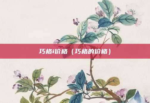 巧格i价格(巧格的价格)