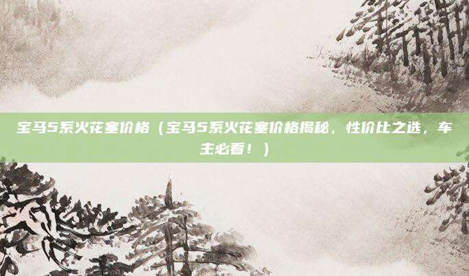 宝马5系火花塞价格（宝马5系火花塞价格揭秘，性价比之选，车主必看！）