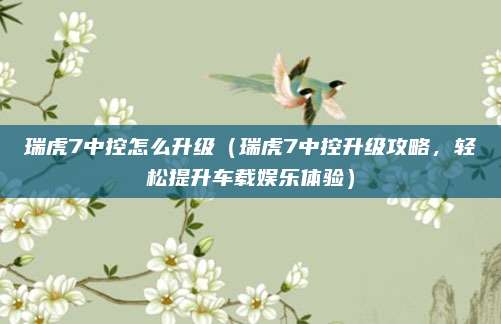 瑞虎7中控怎么升级(瑞虎7中控升级攻略,轻松提升车载娱乐体验)