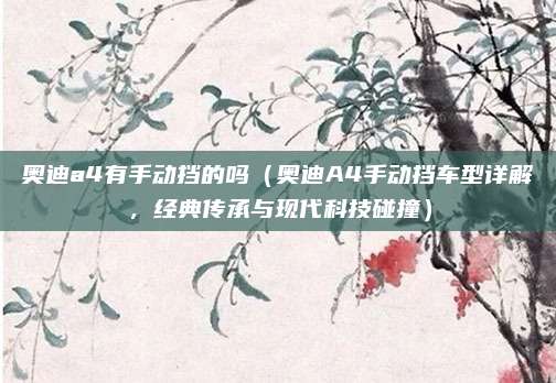 奥迪a4有手动挡的吗(奥迪A4手动挡车型详解,经典传承与现代科技碰撞)