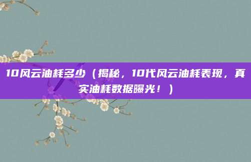 10风云油耗多少(揭秘,10代风云油耗表现,真实油耗数据曝光!)