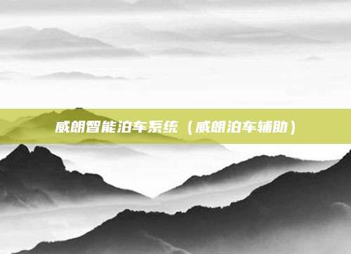 威朗智能泊车系统(威朗泊车辅助)