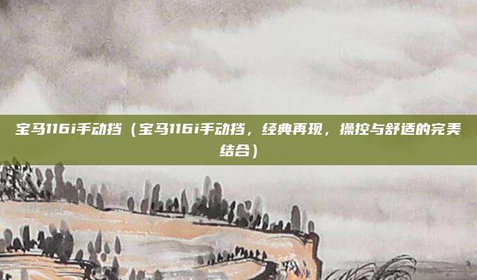 宝马116i手动挡（宝马116i手动挡，经典再现，操控与舒适的完美结合）
