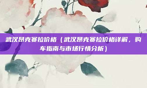 武汉昂克赛拉价格(武汉昂克赛拉价格详解,购车指南与市场行情分析)
