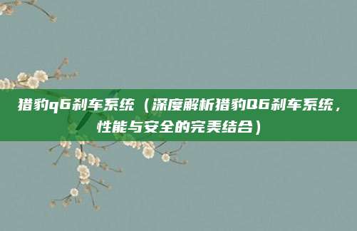 猎豹q6刹车系统（深度解析猎豹Q6刹车系统，性能与安全的完美结合）