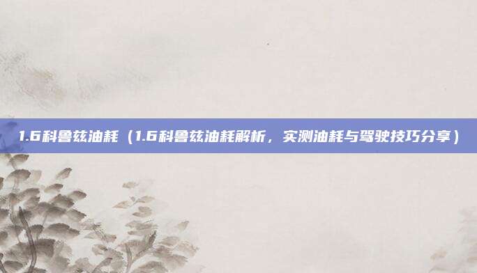 1.6科鲁兹油耗（1.6科鲁兹油耗解析，实测油耗与驾驶技巧分享）