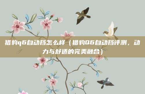 猎豹q6自动挡怎么样(猎豹Q6自动挡评测,动力与舒适的完美融合)