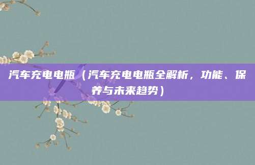 汽车充电电瓶(汽车充电电瓶全解析,功能、保养与未来趋势)