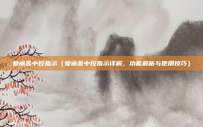 爱丽舍中控指示（爱丽舍中控指示详解，功能解析与使用技巧）