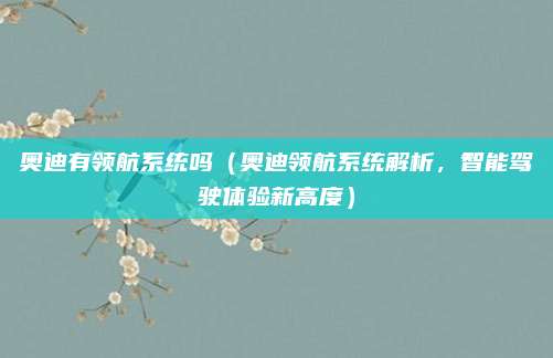 奥迪有领航系统吗(奥迪领航系统解析,智能驾驶体验新高度)