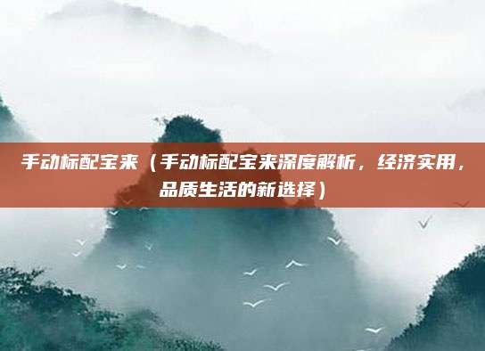 手动标配宝来(手动标配宝来深度解析,经济实用,品质生活的新选择)