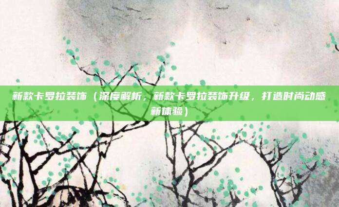 新款卡罗拉装饰（深度解析，新款卡罗拉装饰升级，打造时尚动感新体验）
