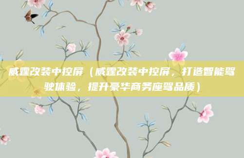 威霆改装中控屏（威霆改装中控屏，打造智能驾驶体验，提升豪华商务座驾品质）