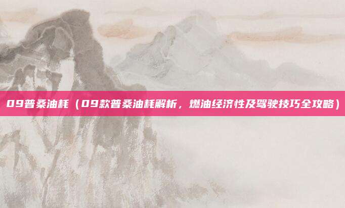 09普桑油耗(09款普桑油耗解析,燃油经济性及驾驶技巧全攻略)