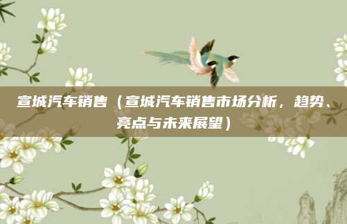 宣城汽车销售(宣城汽车销售市场分析,趋势、亮点与未来展望)