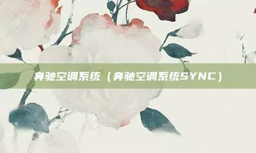奔驰空调系统(奔驰空调系统SYNC)