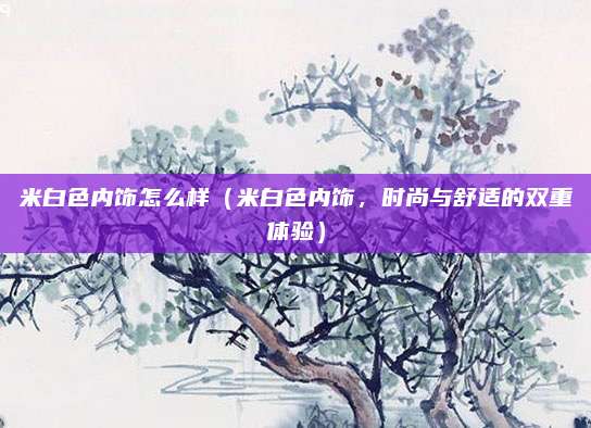 米白色内饰怎么样（米白色内饰，时尚与舒适的双重体验）