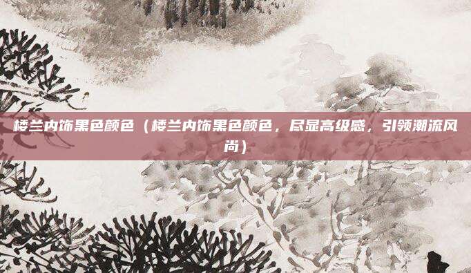 楼兰内饰黑色颜色（楼兰内饰黑色颜色，尽显高级感，引领潮流风尚）