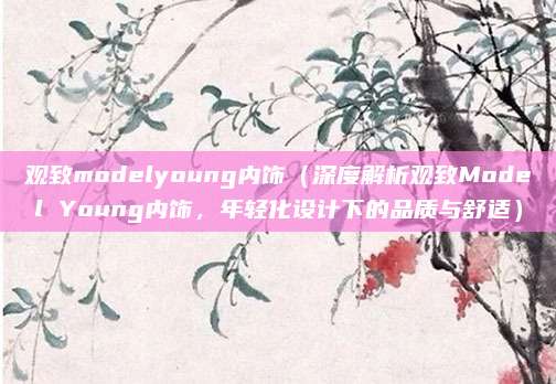 观致modelyoung内饰(深度解析观致Model Young内饰,年轻化设计下的品质与舒适)