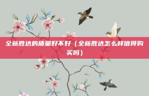 全新胜达的质量好不好(全新胜达怎么样值得购买吗)