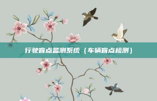 行驶盲点监测系统(车辆盲点检测)