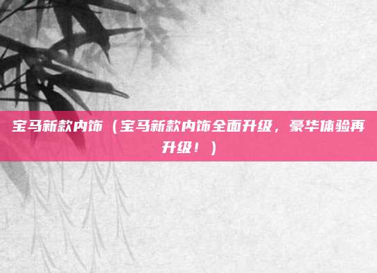 宝马新款内饰(宝马新款内饰全面升级,豪华体验再升级!)