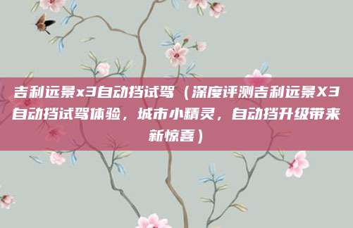 吉利远景x3自动挡试驾(深度评测吉利远景X3自动挡试驾体验,城市小精灵,自动挡升级带来新惊喜)