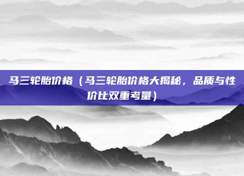马三轮胎价格（马三轮胎价格大揭秘，品质与性价比双重考量）
