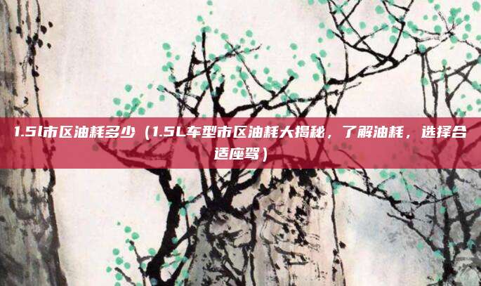 1.5l市区油耗多少（1.5L车型市区油耗大揭秘，了解油耗，选择合适座驾）