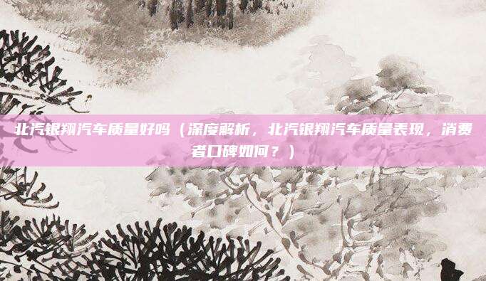 北汽银翔汽车质量好吗（深度解析，北汽银翔汽车质量表现，消费者口碑如何？）