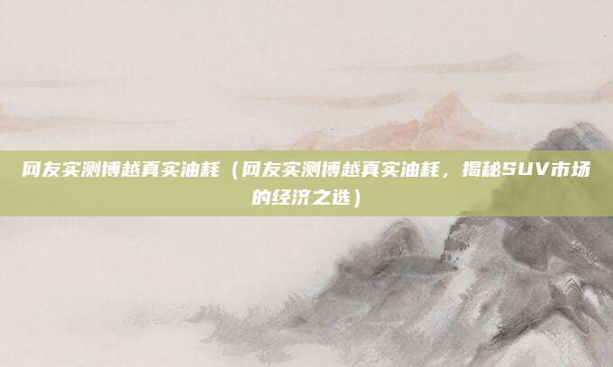 网友实测博越真实油耗（网友实测博越真实油耗，揭秘SUV市场的经济之选）