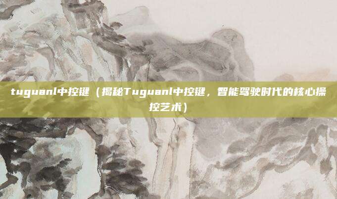 tuguanl中控键（揭秘Tuguanl中控键，智能驾驶时代的核心操控艺术）