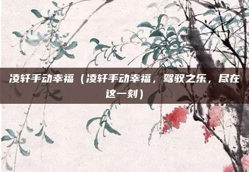 凌轩手动幸福（凌轩手动幸福，驾驭之乐，尽在这一刻）