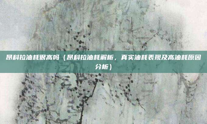 昂科拉油耗很高吗（昂科拉油耗解析，真实油耗表现及高油耗原因分析）