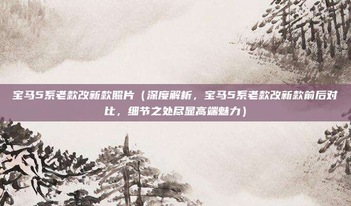 宝马5系老款改新款照片(深度解析,宝马5系老款改新款前后对比,细节之处尽显高端魅力)