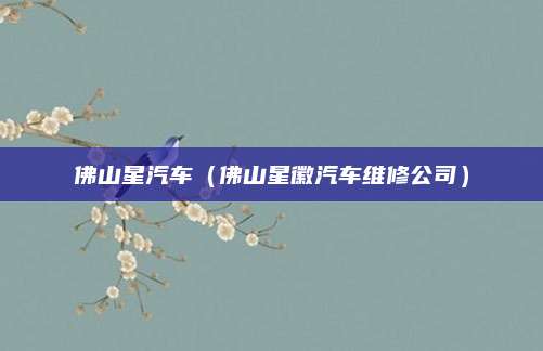 佛山星汽车(佛山星徽汽车维修公司)