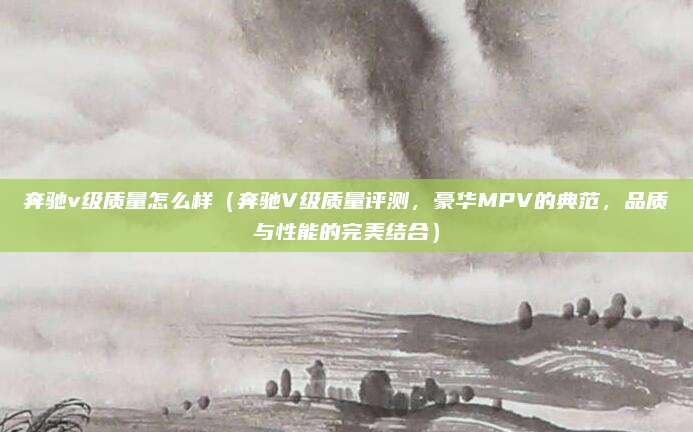 奔驰v级质量怎么样(奔驰V级质量评测,豪华MPV的典范,品质与性能的完美结合)