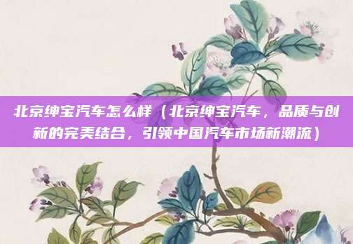北京绅宝汽车怎么样(北京绅宝汽车,品质与创新的完美结合,引领中国汽车市场新潮流)