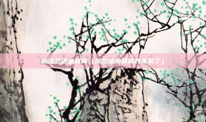 新汉兰达油耗高(汉兰达油耗高养不起了)