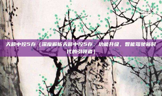 天籁中控5存(深度解析天籁中控5存,功能升级,智能驾驶新时代的引领者)