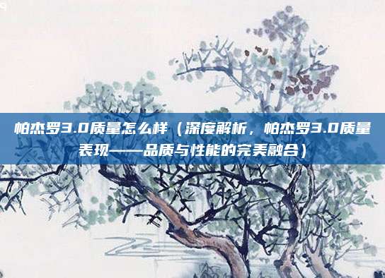 帕杰罗3.0质量怎么样（深度解析，帕杰罗3.0质量表现——品质与性能的完美融合）