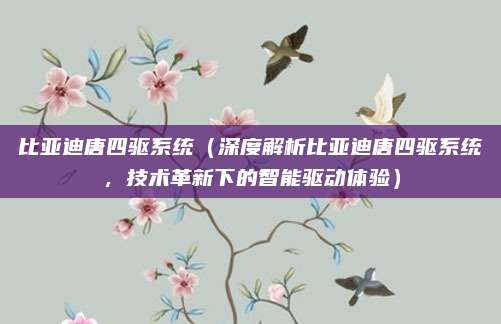 比亚迪唐四驱系统（深度解析比亚迪唐四驱系统，技术革新下的智能驱动体验）