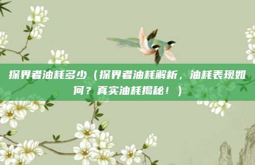 探界者油耗多少(探界者油耗解析,油耗表现如何?真实油耗揭秘!)