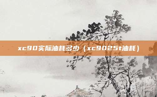 xc90实际油耗多少(xc9025t油耗)