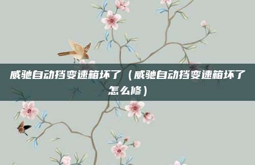 威驰自动挡变速箱坏了(威驰自动挡变速箱坏了怎么修)