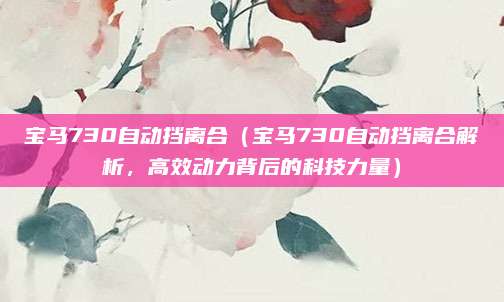 宝马730自动挡离合(宝马730自动挡离合解析,高效动力背后的科技力量)