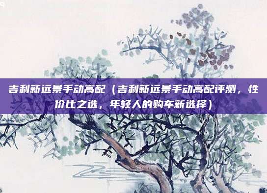 吉利新远景手动高配(吉利新远景手动高配评测,性价比之选,年轻人的购车新选择)